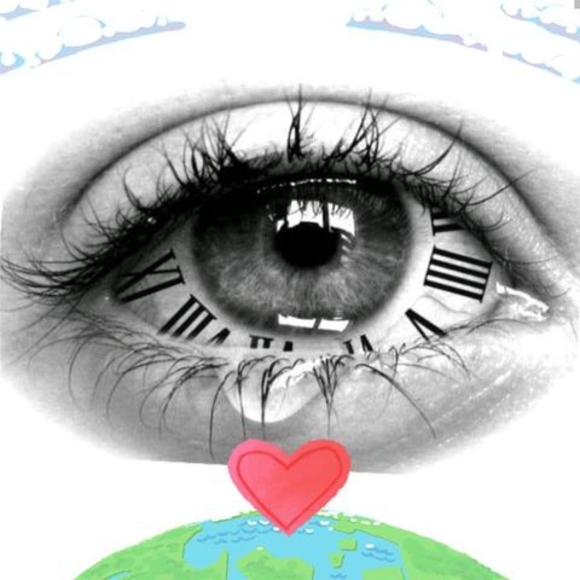 Meet your Posher, Nancy - Picture 1 of 1